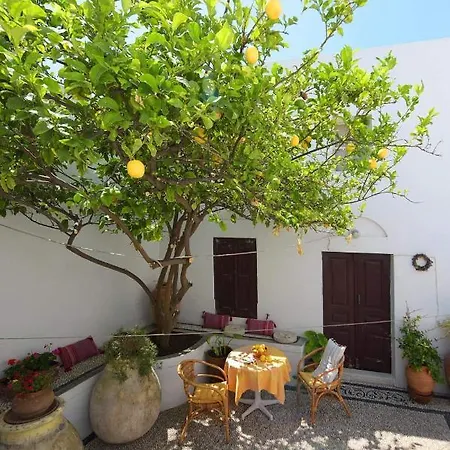 Teresa's Apartamento *